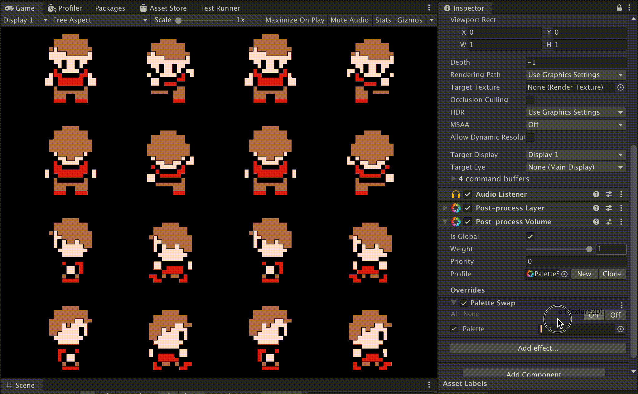animation.gif