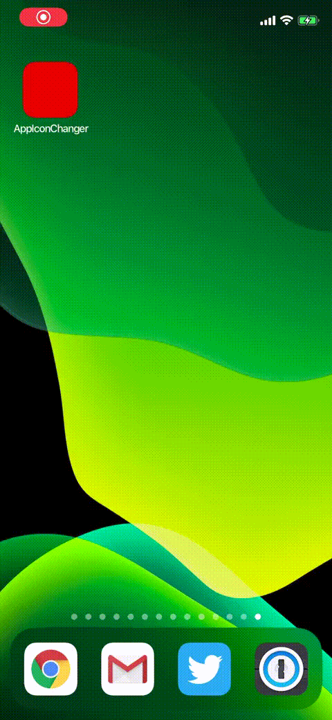 animation.gif